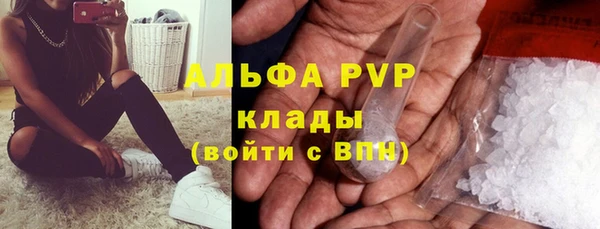 кокс Бородино
