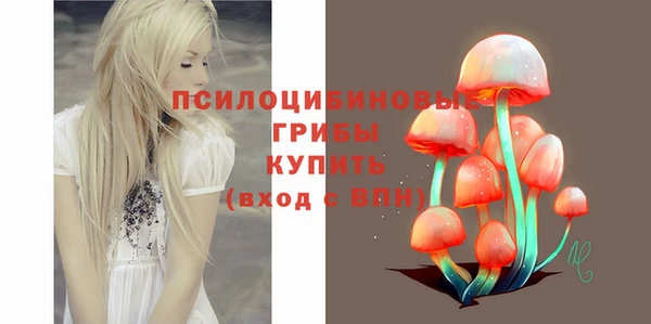 синтетический гашиш Бронницы