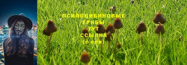синтетический гашиш Бронницы