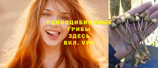 кокс Бородино